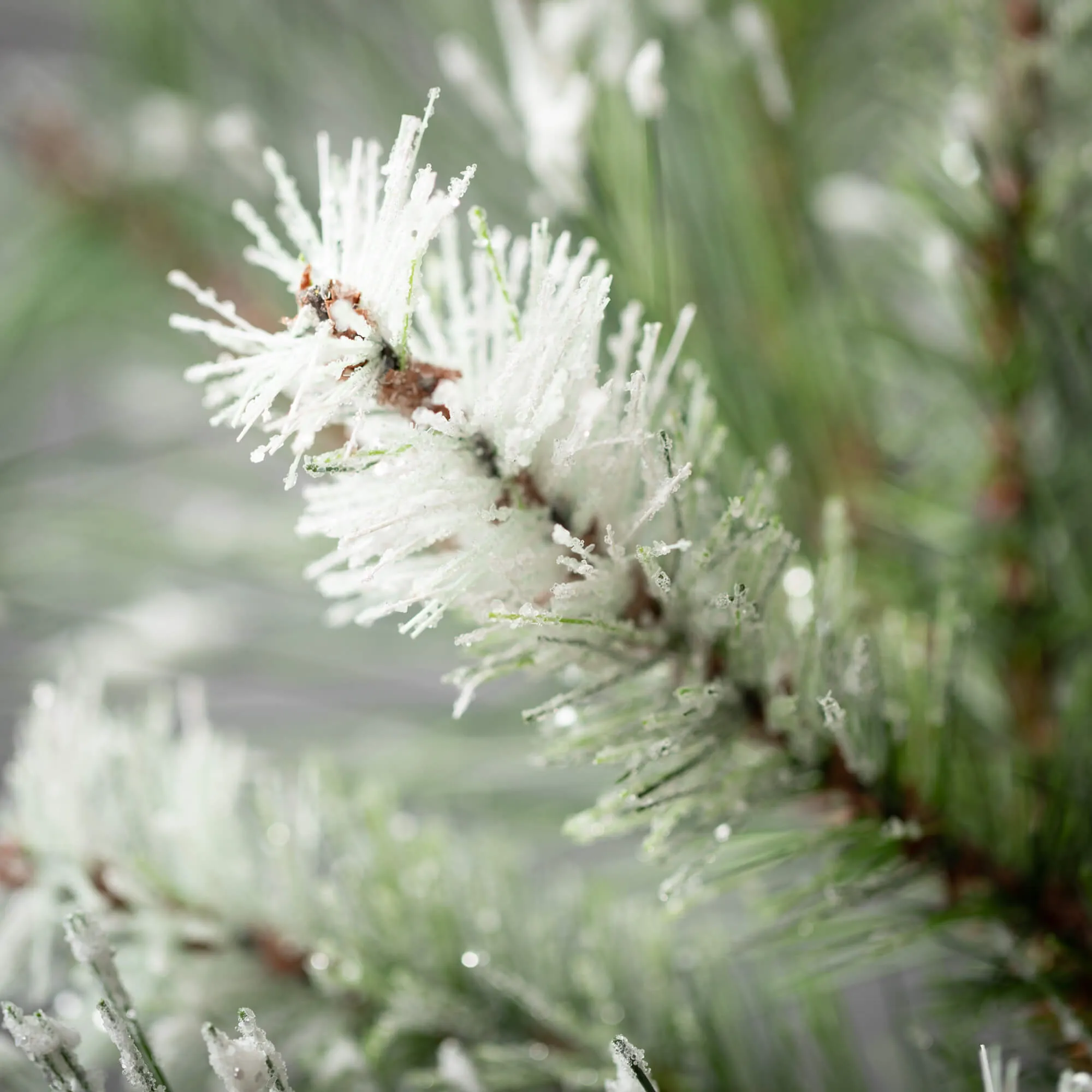 25"H Sullivans Frosted Fuzzy Pine Spray, Green