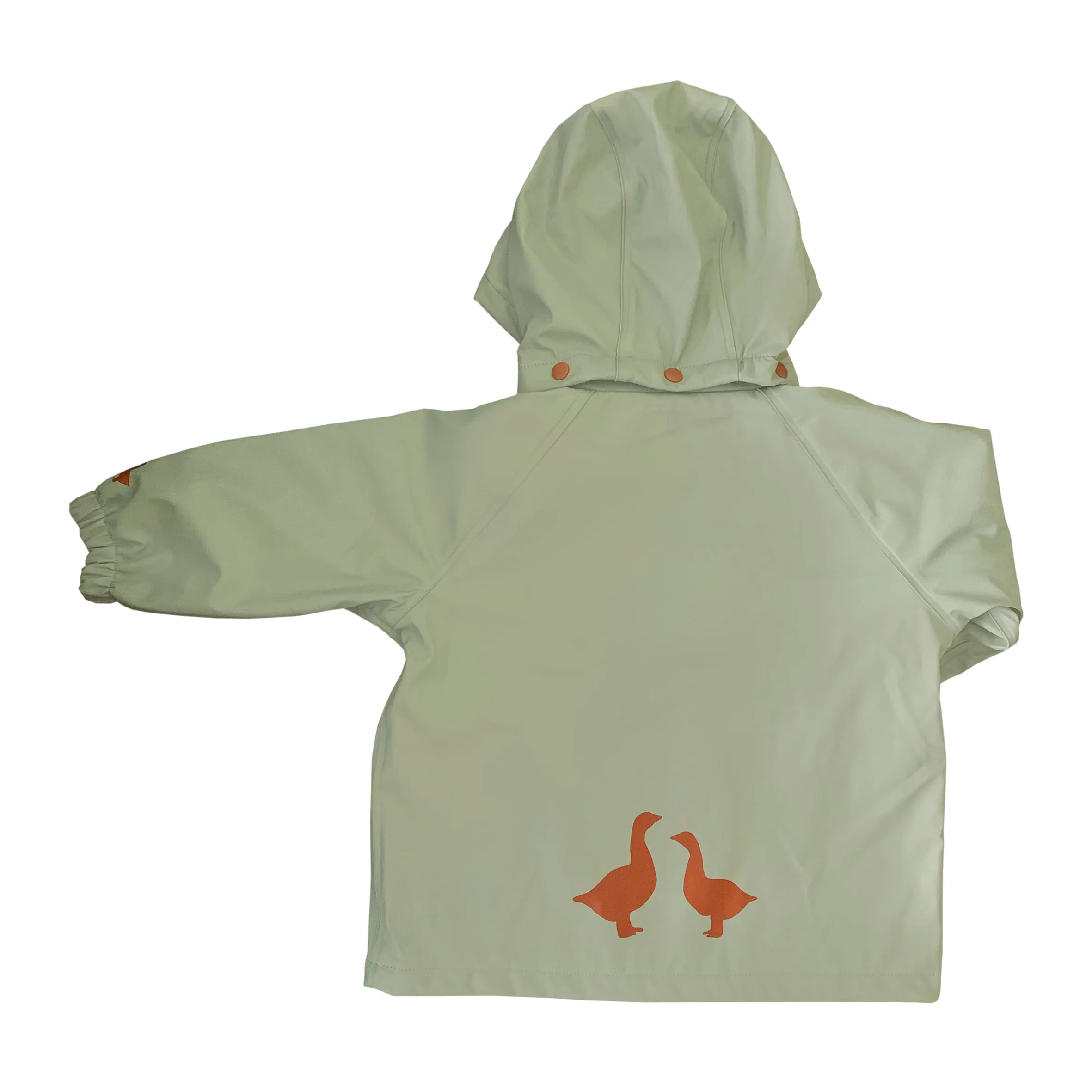 Fog Green Raincoat