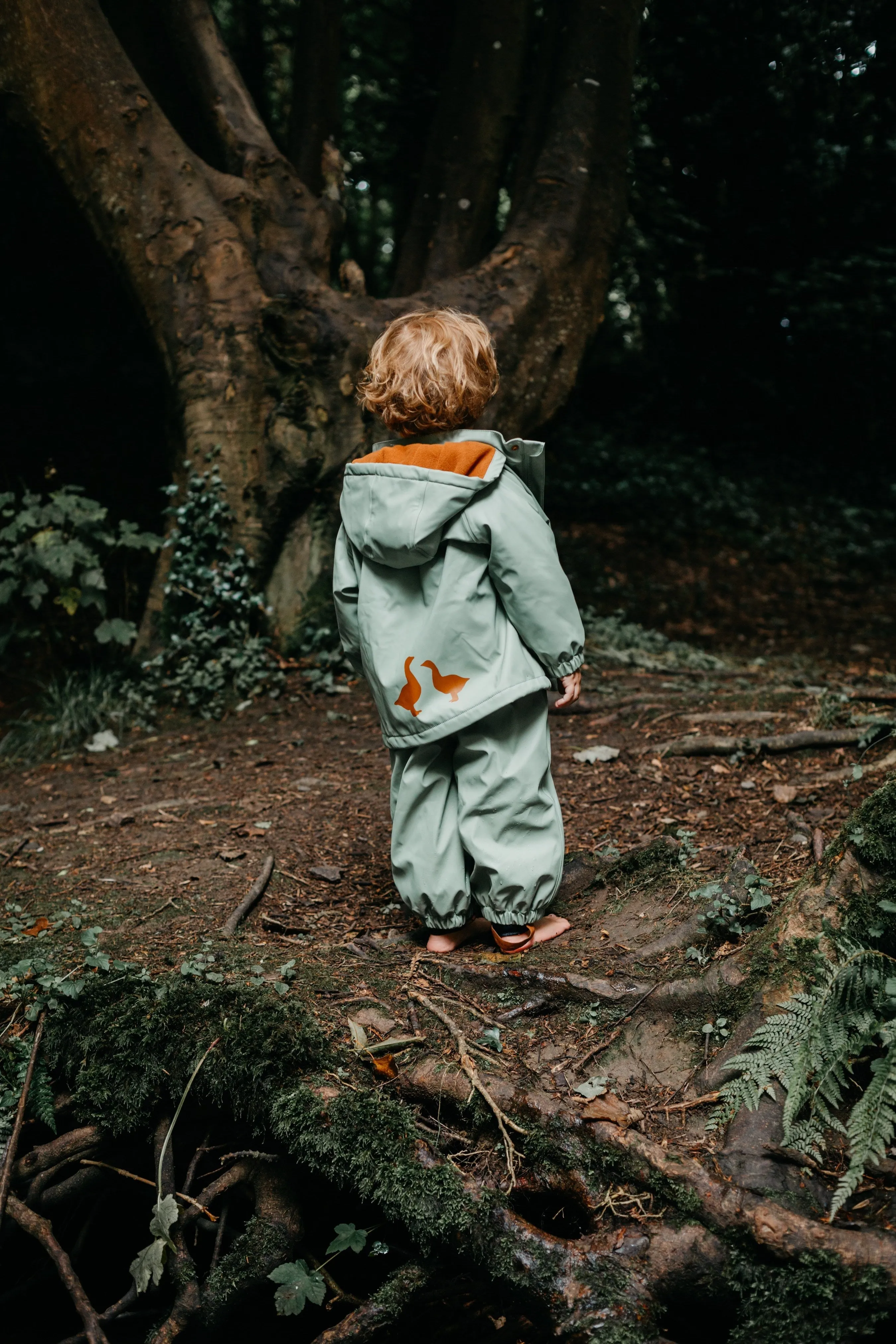 Fog Green Raincoat