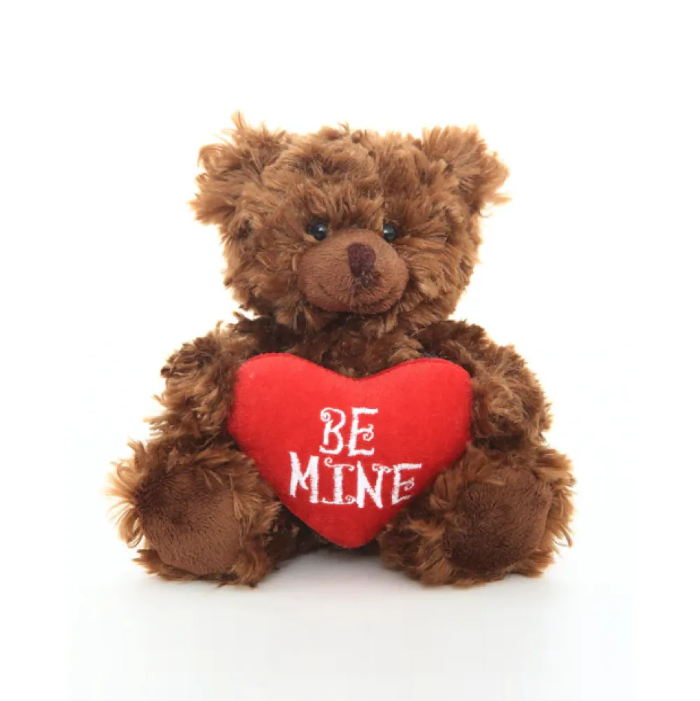 Valentine sitting chocolate bear with message heart 6"